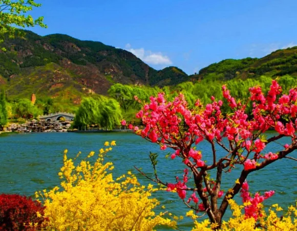 4Days 3Nights Kashmir Tour Package